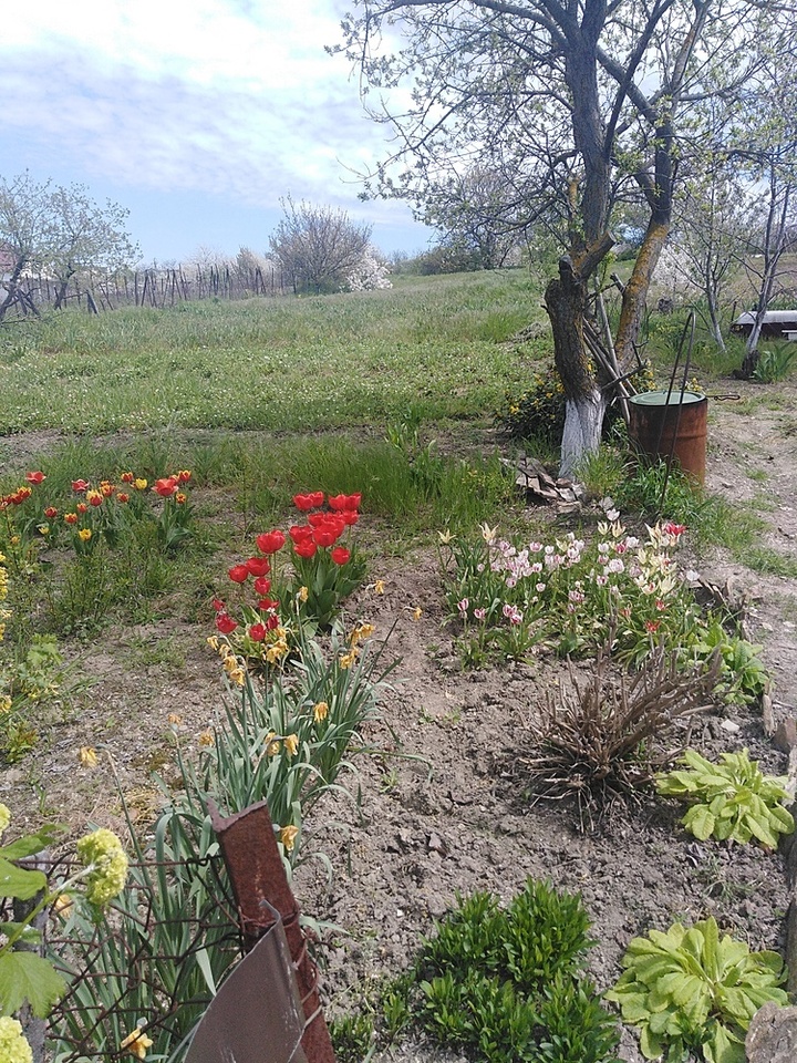 земля р-н Анапский с Варваровка ул Солнечная муниципальное образование Анапа фото 4