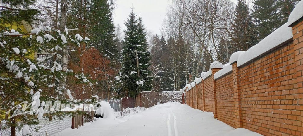 земля городской округ Истра п Чеховский 1-й пр-д, 3, Снегири пгт фото 3