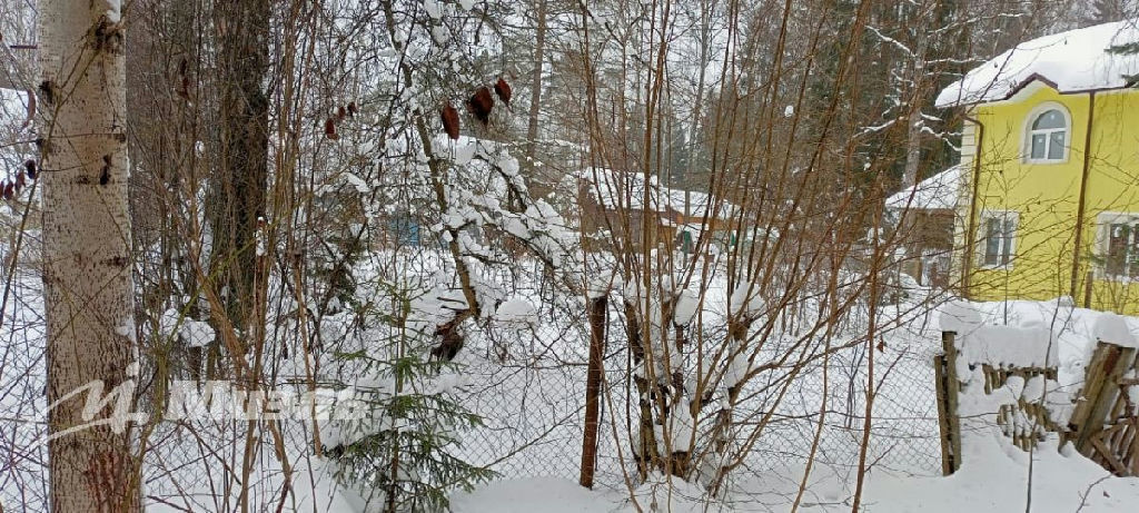 земля городской округ Истра п Чеховский 1-й пр-д, 3, Снегири пгт фото 9