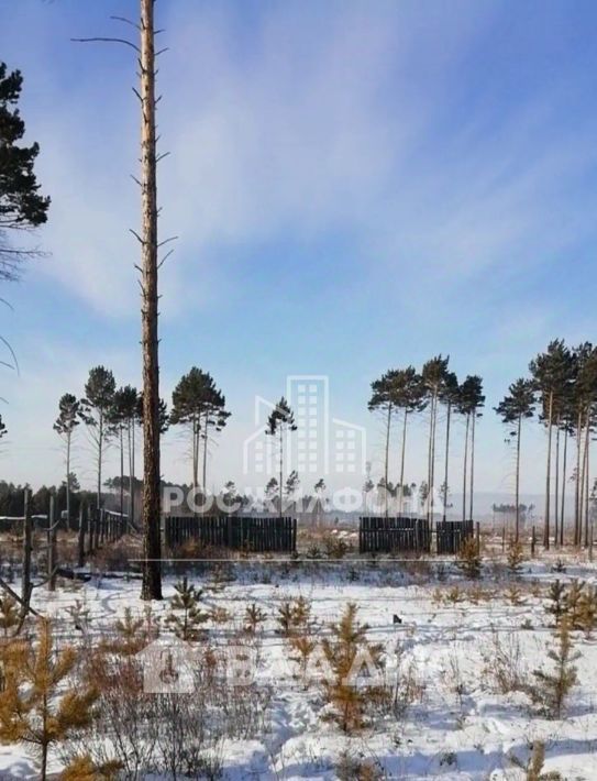 земля р-н Читинский п Забайкальский ул Зеленая фото 3