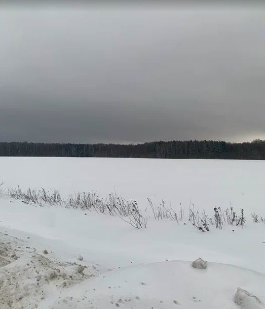 земля городской округ Чехов д Васькино Чехов фото 4