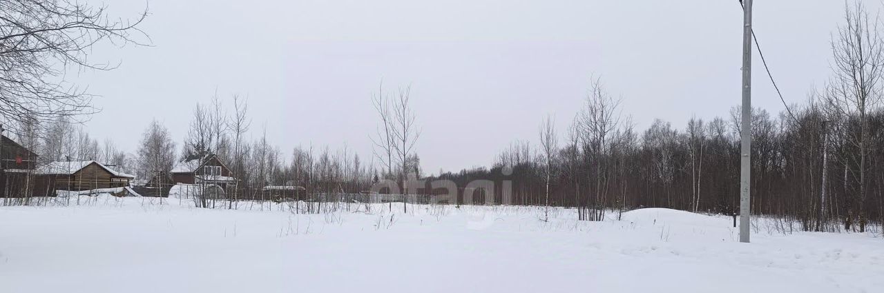 земля р-н Богородский с Спирино ул Железнодорожная фото 4