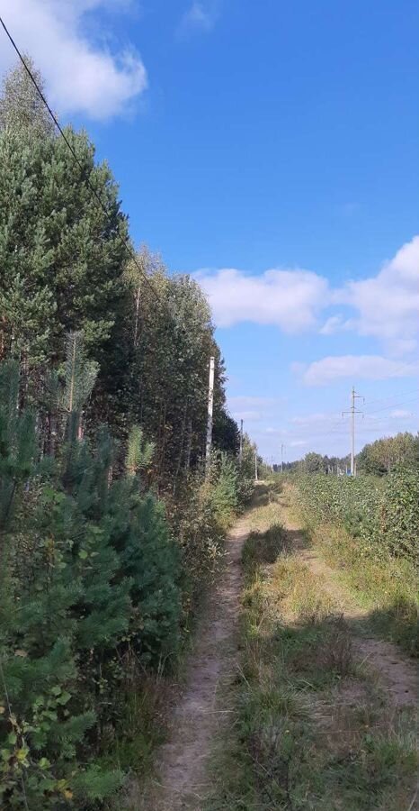 земля городской округ Талдомский снт тер.Междуречье 95, Дмитровский г. о., Вербилки фото 4