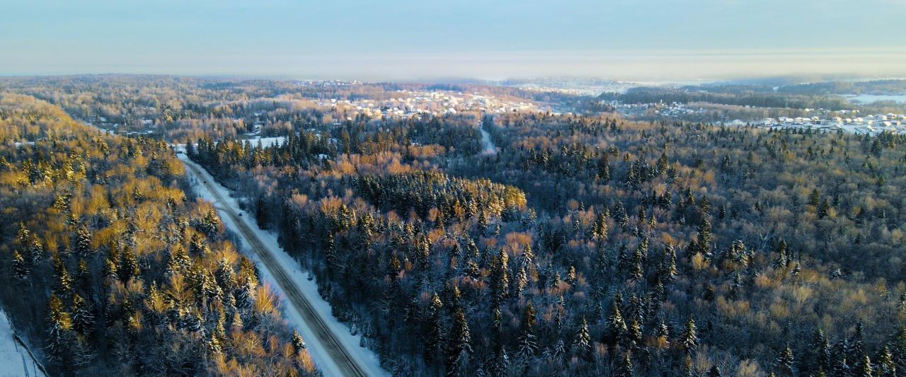 земля городской округ Дмитровский д Сазонки 154 фото 2