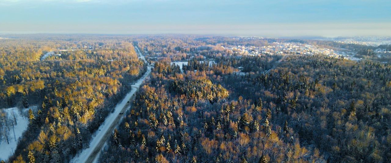 земля городской округ Дмитровский д Сазонки 154 фото 3