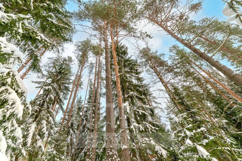 земля р-н Всеволожский п Западная Лица ул Капитан-лейтенанта Колесникова фото 10