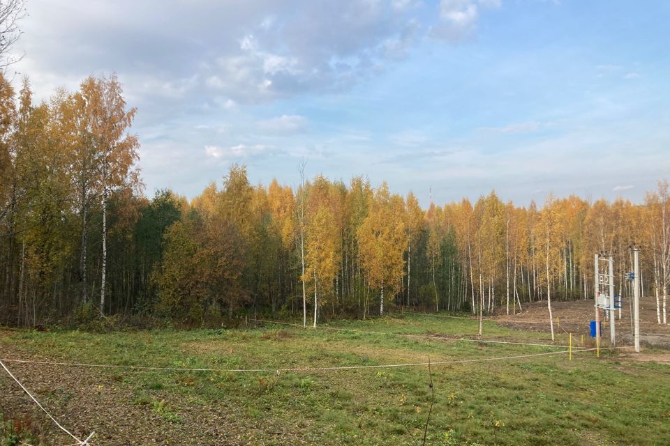 земля р-н Всеволожский д Порошкино ш Кольцевое 9в фото 7