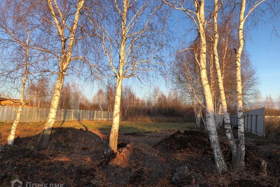 земля г Тюмень снт Лаванда городской округ Тюмень, 10-я улица фото 6