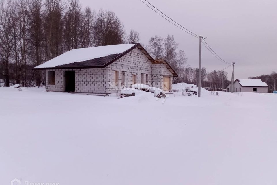 дом р-н Новосибирский Станционный сельсовет фото 4