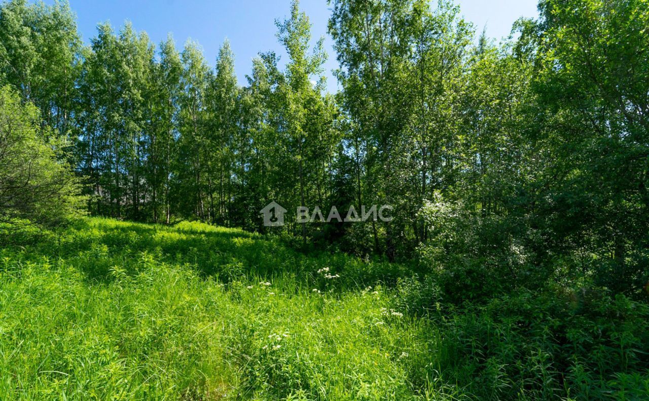 земля р-н Всеволожский д Куялово ул Солнечная Кузьмоловское городское поселение, Токсово фото 6