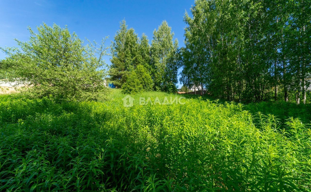 земля р-н Всеволожский д Куялово ул Солнечная Кузьмоловское городское поселение, Токсово фото 8