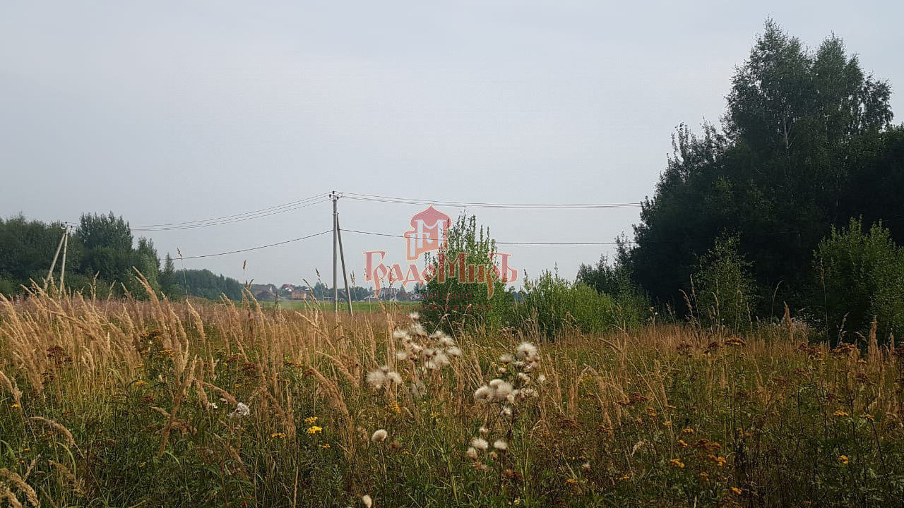 земля городской округ Дмитровский д Маринино фото 2