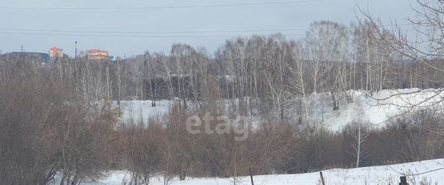 ул Еловая фото