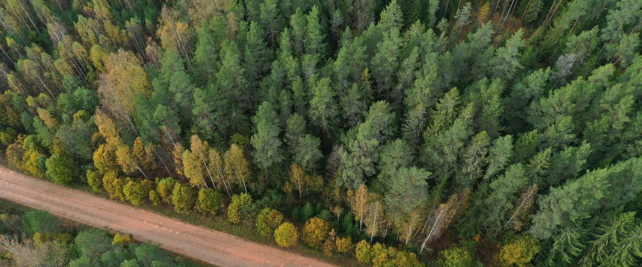 земля р-н Селижаровский д Лыткино Оковецкое сельское поселение фото 6