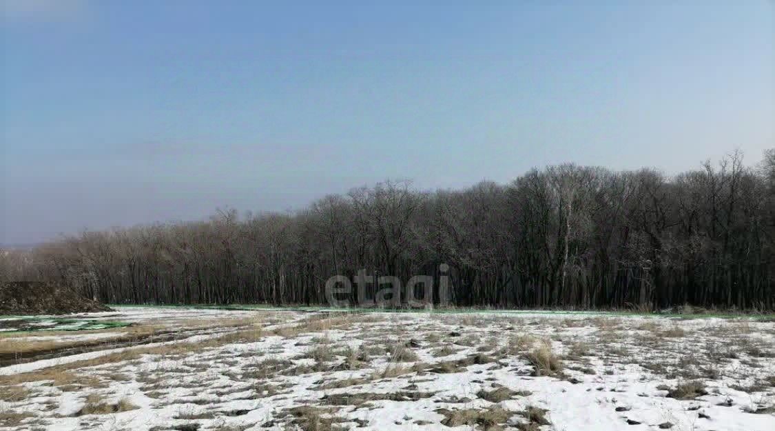 земля городской округ Домодедово д Ильинское 7 фото 2