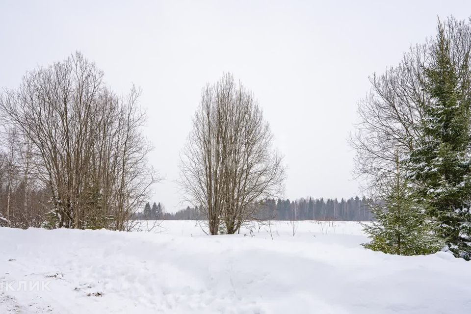 земля р-н Пермский с Хохловка ул Верхняя фото 5