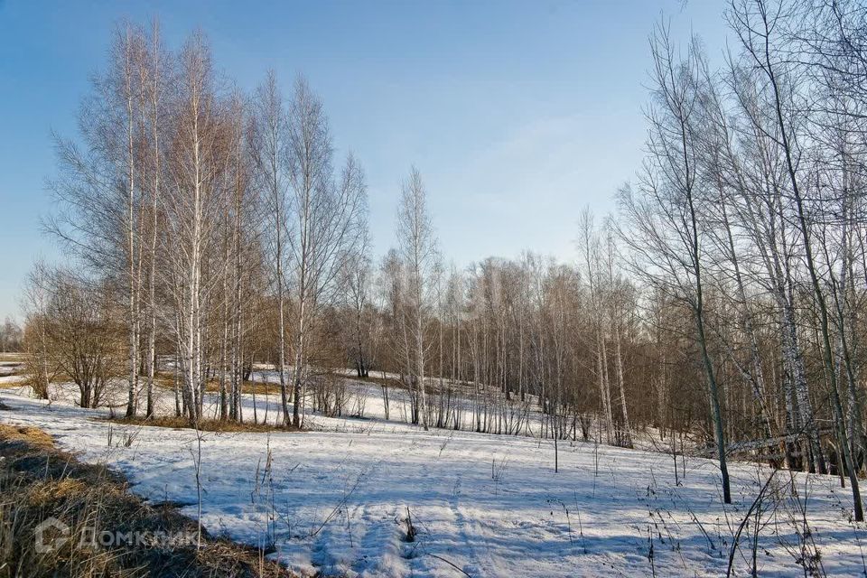 дом г Воронеж сдт Южный городской округ Воронеж, Цветная улица фото 5