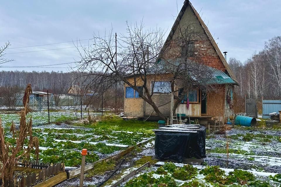 земля р-н Каменский садоводческое товарищество № 24 фото 5