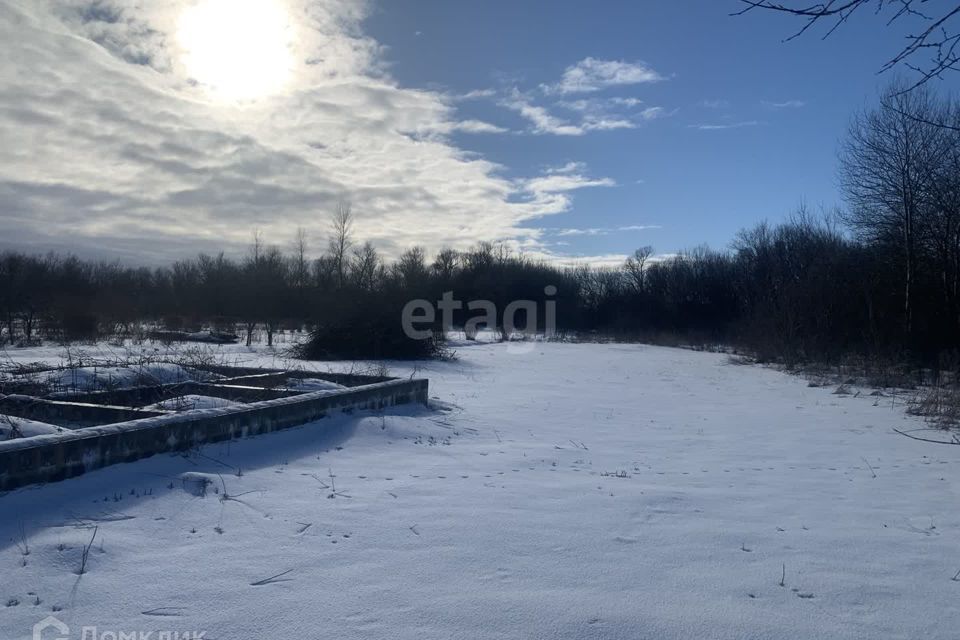 земля р-н Белгородский с Стрелецкое ул Березовая 10а фото 4