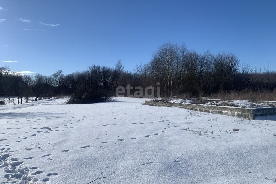 земля р-н Белгородский с Стрелецкое ул Березовая 10а фото 2