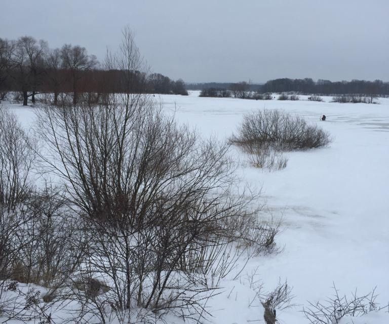 дом г Брянск ул Карьерная 7 городской округ Брянск фото 8