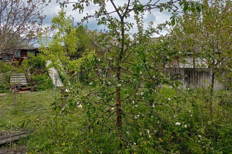 дом городской округ Шебекинский с Нежеголь ул Пески фото 9