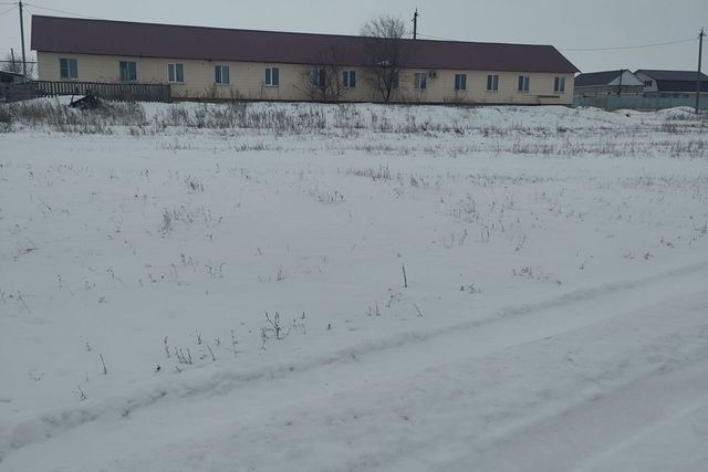 село Павловка фото