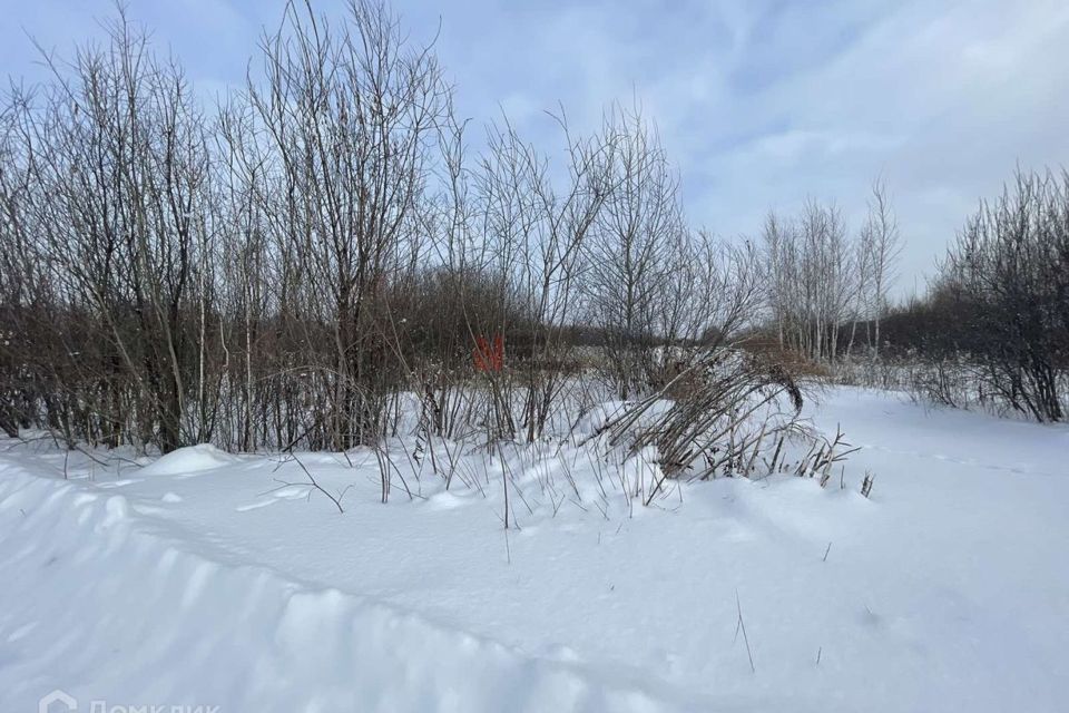 земля г Тюмень снт Поляна ул Центральная 103 городской округ Тюмень фото 4