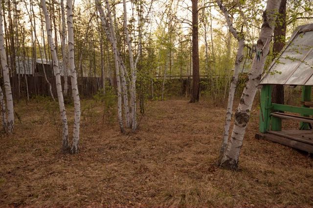 городской округ Якутск, садово-огородническое товарищество Борисовское фото