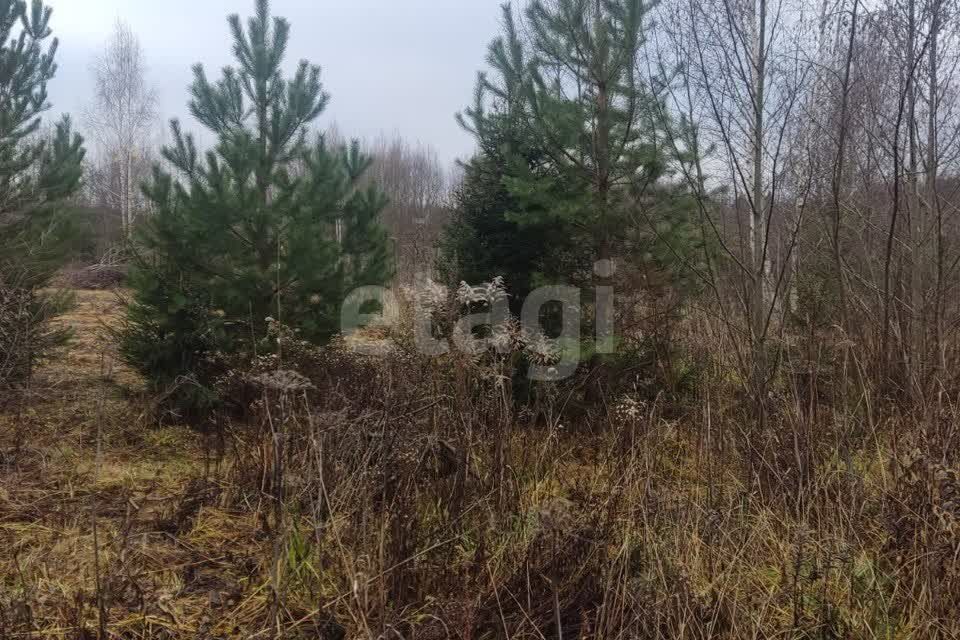 земля городской округ Наро-Фоминский садовое товарищество Ритм, 122 фото 1