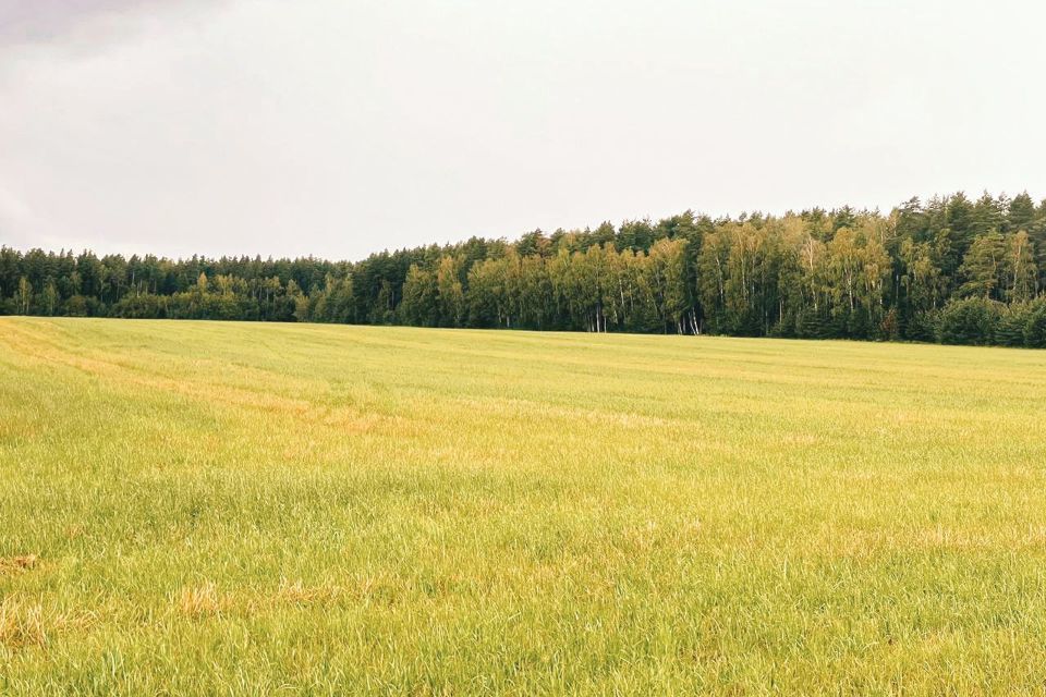 земля городской округ Богородский деревня Боково фото 4