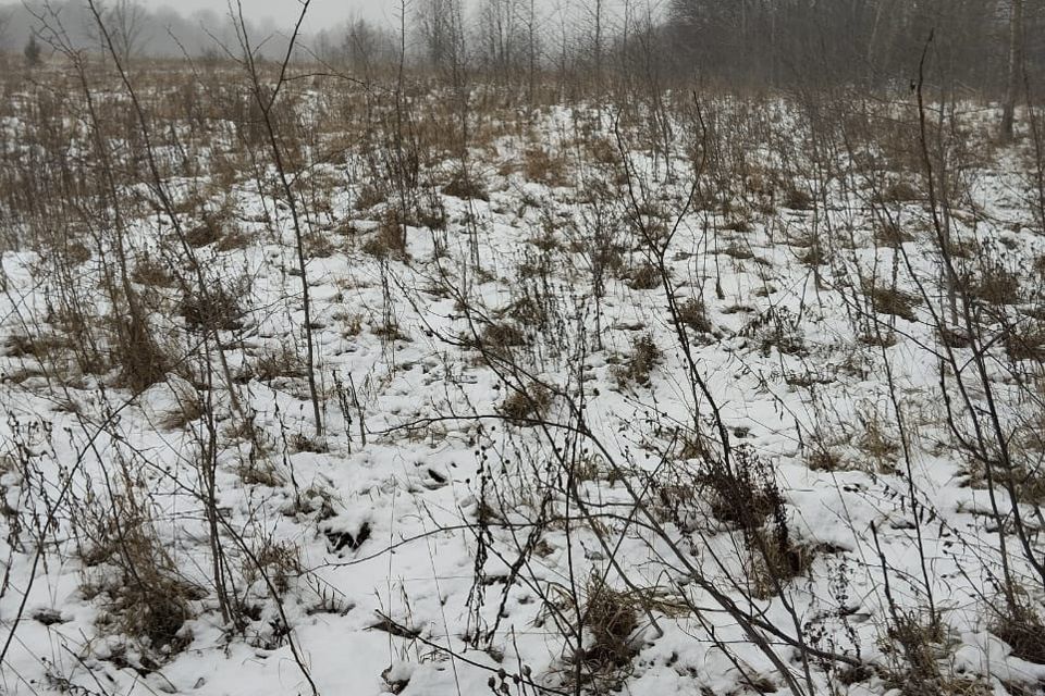 земля городской округ Волоколамский деревня Рождествено фото 1