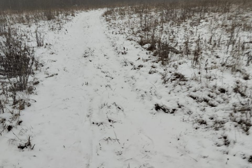 земля городской округ Волоколамский деревня Рождествено фото 8