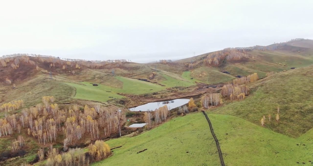 земля р-н Алтайский с Ая Республика Алтай, Майма фото 5