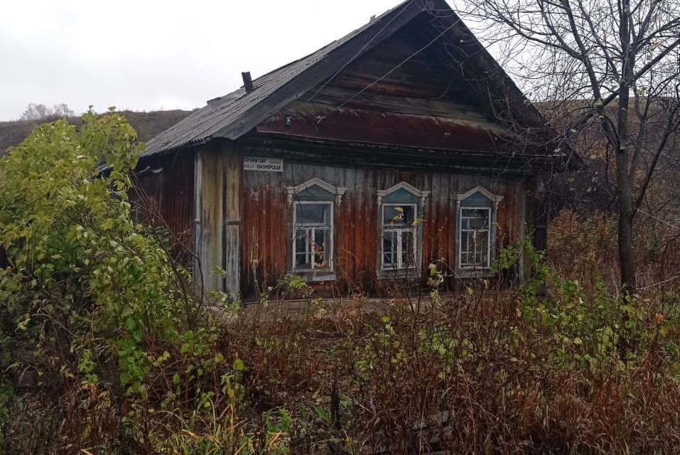 дом р-н Благовещенский с Бедеева Поляна ул Пионерская фото 2