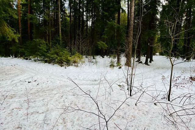 городской округ Ревда, Ревда фото