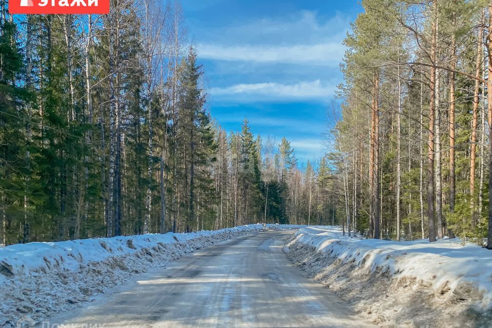 земля р-н Прионежский СНТ Порожки фото 4