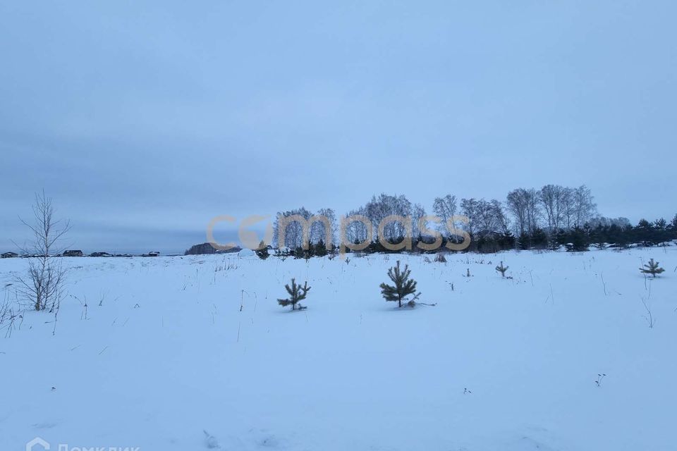 земля г Тюмень городской округ Тюмень, товарищество с ограниченной ответственностью Плодовое фото 2