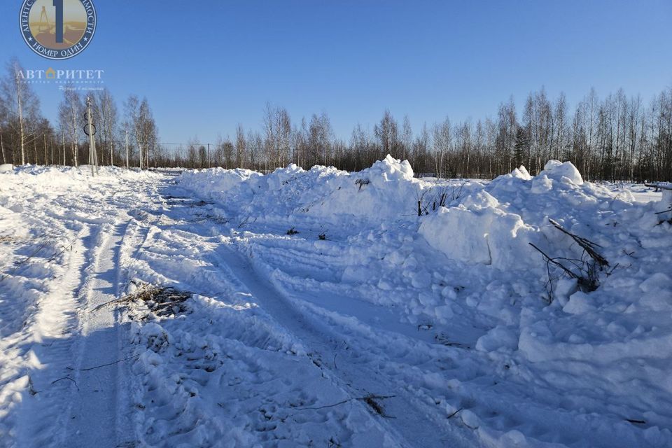 земля р-н Череповецкий деревня Нова фото 2