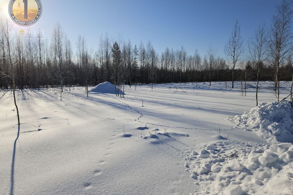 земля р-н Череповецкий деревня Нова фото 3