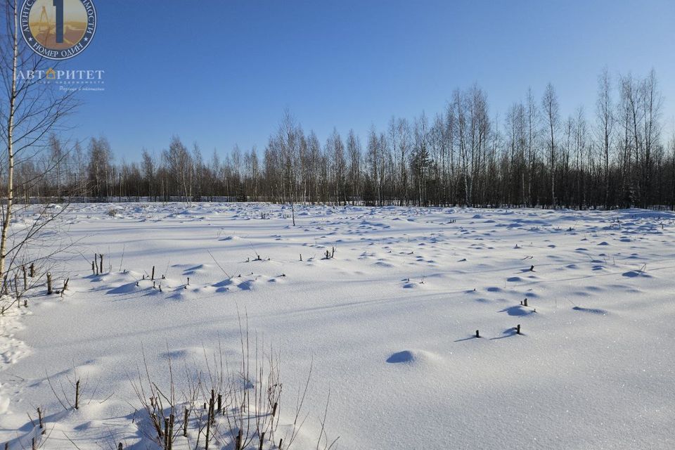 земля р-н Череповецкий деревня Нова фото 4