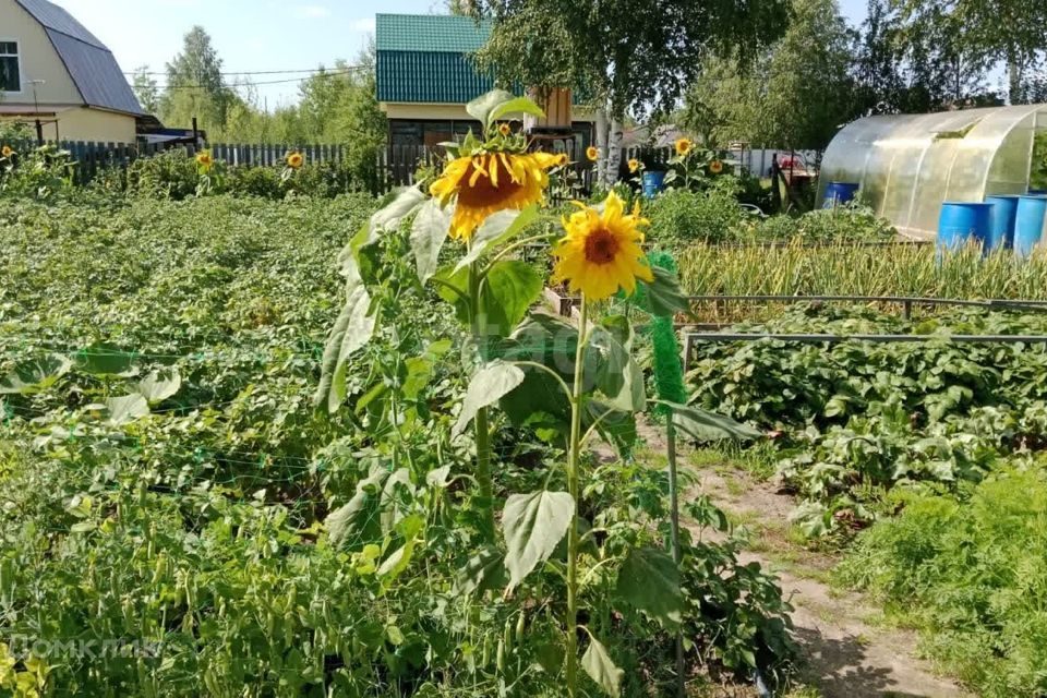 дом г Нижневартовск потребительский садово-огороднический кооператив Досуг, городской округ Нижневартовск фото 4