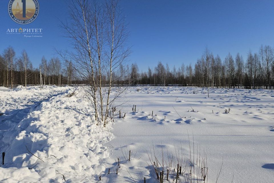 земля р-н Череповецкий деревня Нова фото 5