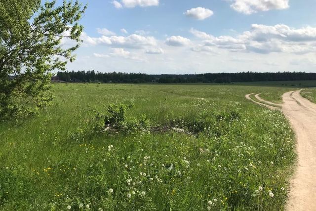 село Венев-Монастырь фото