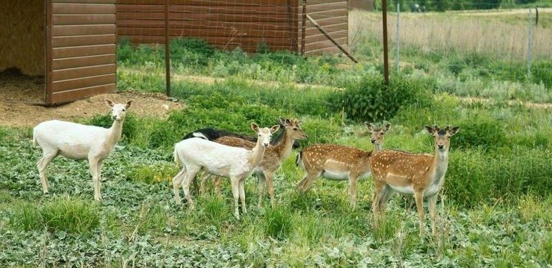 комната р-н Нуримановский д Староисаево Староисаевский сельсовет фото 11