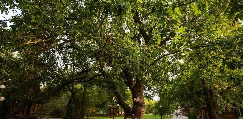 комната р-н Среднеахтубинский п Колхозная Ахтуба Ахтубинское с/пос фото 11