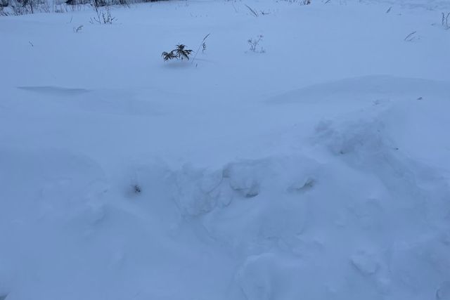 земля село Нечкино фото