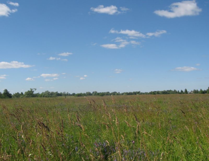 земля р-н Смоленский д Кувшиново Смоленск фото 1