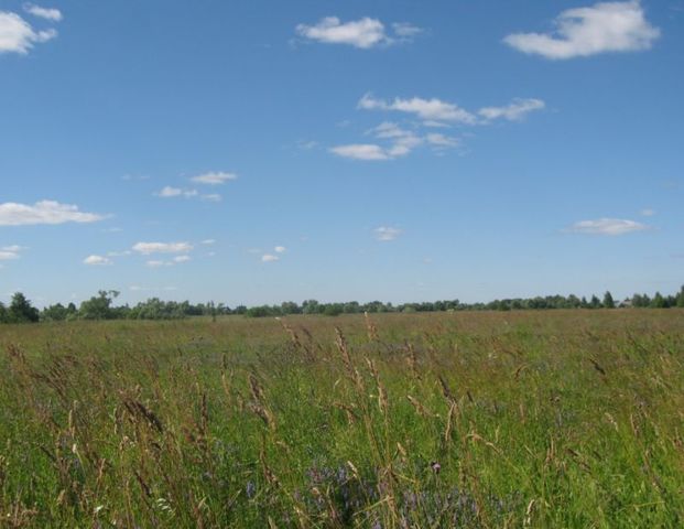 земля Смоленск фото