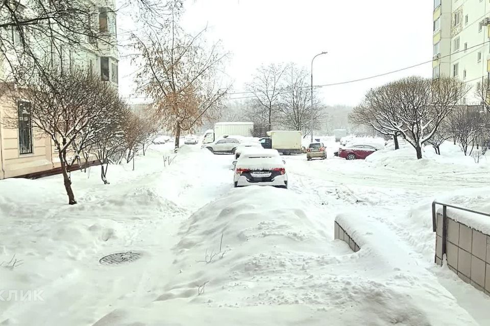 квартира г Москва ул Марьинский Парк 17к/2 Юго-Восточный административный округ фото 2